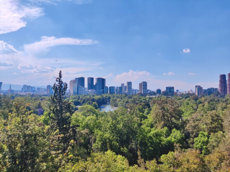One last view from Chapultepec Castle. Beautiful.