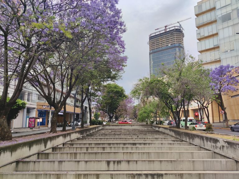 After Soumaya I walked over to the fashionable Polanco district.