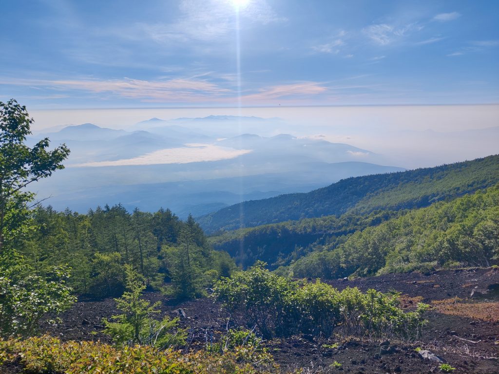 Mount Fuji