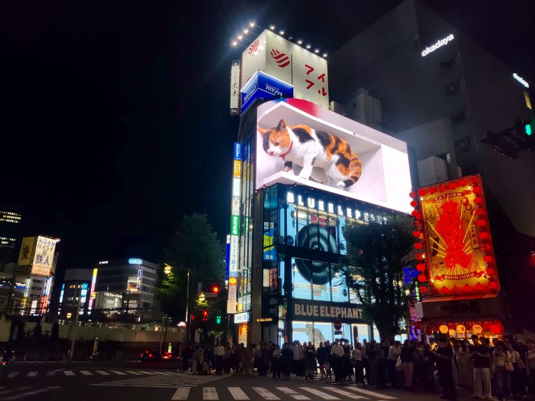 Cats - along with humans, orcas, pandas, and mosquitoes - are one of five animals I actively dislike. But the 3D cat billboard by Shinjuku station (notice another train whizzing past at bottom left) is justifiably iconic.