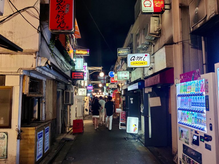 If it wasn't for the fact that I had to wake up the next morning to get to Narita airport, I would have totally surrendered myself to the cute lil' taverns of Golden-Gai!