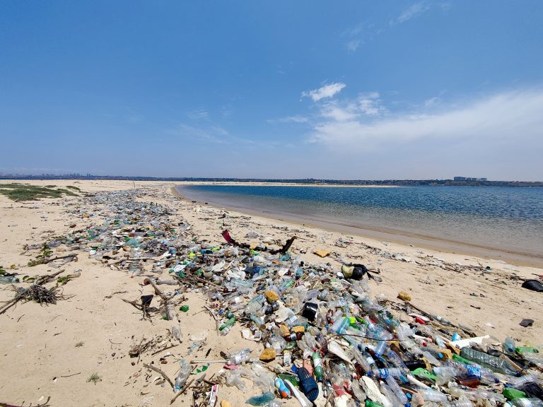 Sadly, the rubbish from the nearby metropolis was voluminous, though there were still plenty of stretches of pristine sand.