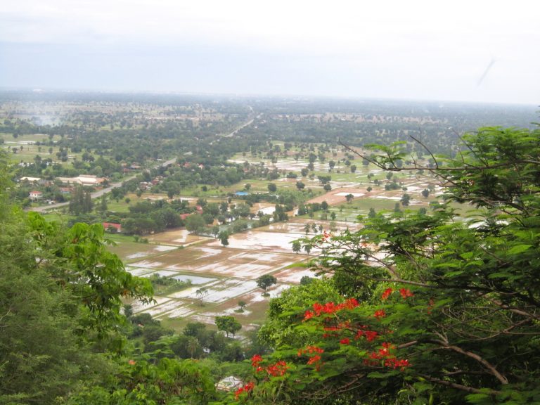 More spectacular rice paddy views.