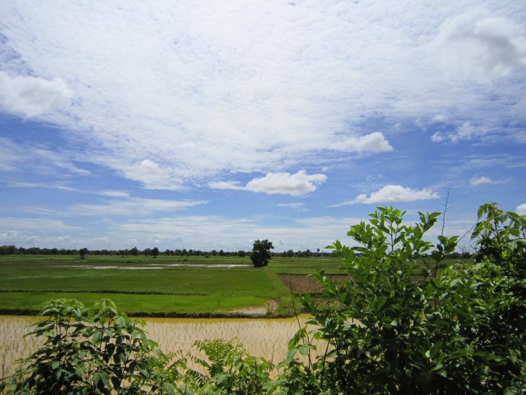 The countryside surrounding the bamboo train is lush. Can't remember how long we 'rode' for but I remember having a blast.