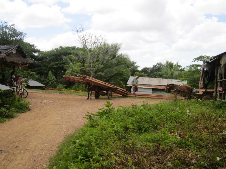 Not sure what this was being used for, but it's not an uncommon scene in the Cambo countryside.