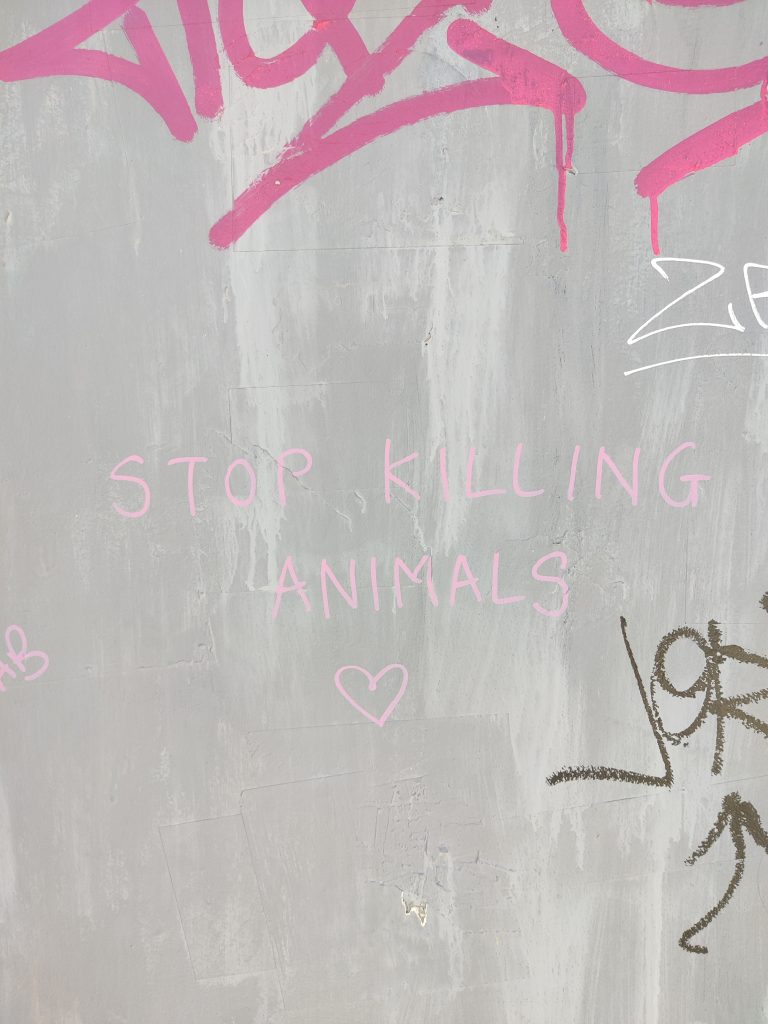 Stop Killing Animals