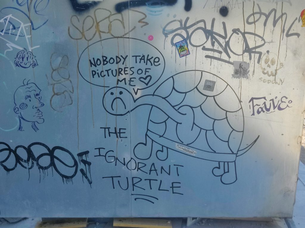 The Ignorant Turtle