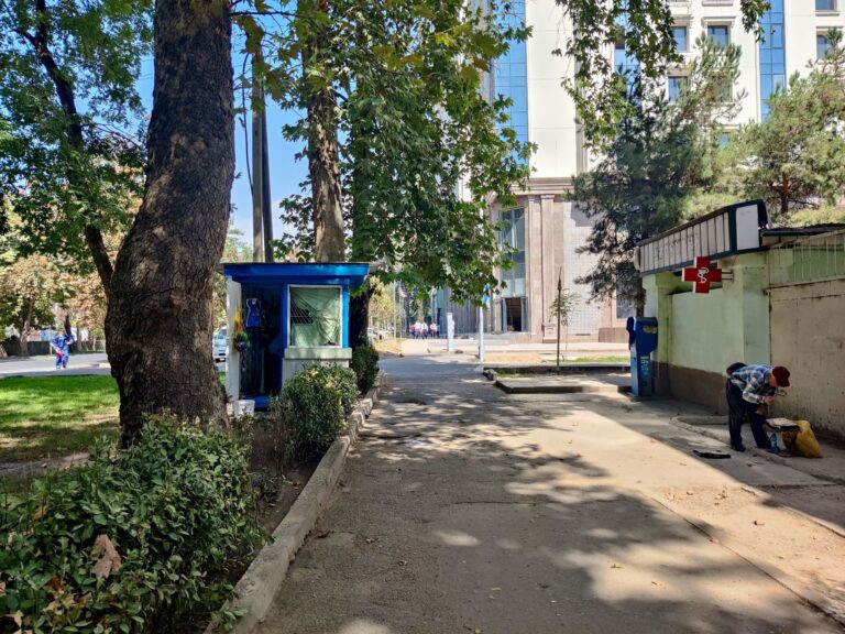 Still in the 'academic' hood, trying to find my way to the only restaurant in town with manifold vegetarian options, and distracted by retro newspaper kiosks and an old guy doing lawd knows what.