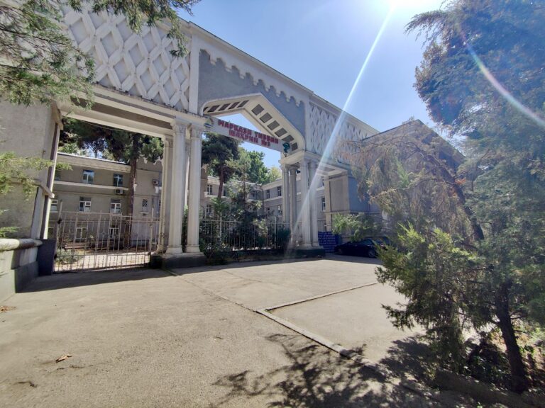 One of many buildings that caught my eye on Academics Rajabov Street.