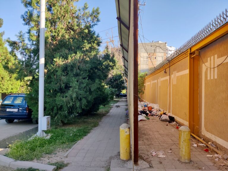 Another sad reality of Dushanbe and Tajikistan as a whole: rubbish. Everywhere. An indictment of waste disposal systems/services, even when hidden from broader public view as here.