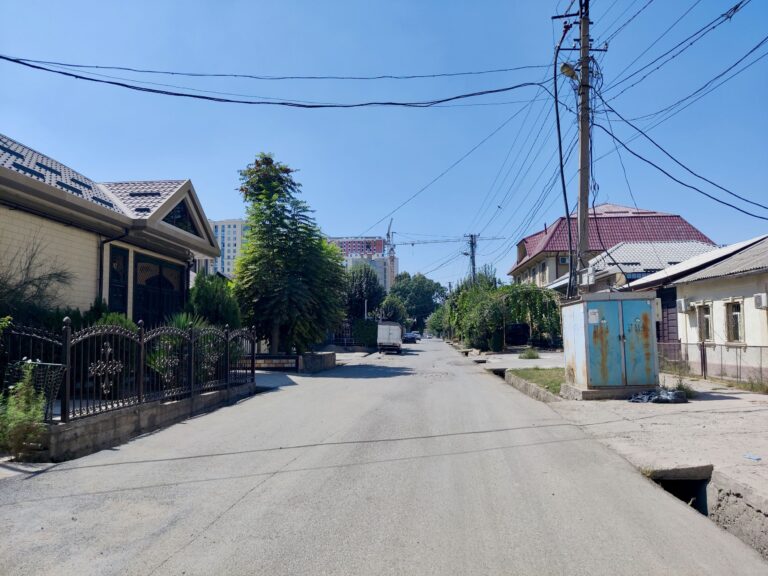 After shaking off the next morning's hangover, it was time to head back to the previous day's veg-friendly restaurant to get some nourishment. Here's a diff. section of the same street from pics two and three on this album, a street that links Green House Hostel to the downtown a 20-30 min walk away.