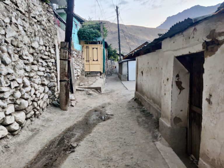 After dumping our backs I decided to take a quick stroll around the town (really more of a village). There was a semi-decent supermarket and an ATM, much to my surprise, but most of the town was more like this.
