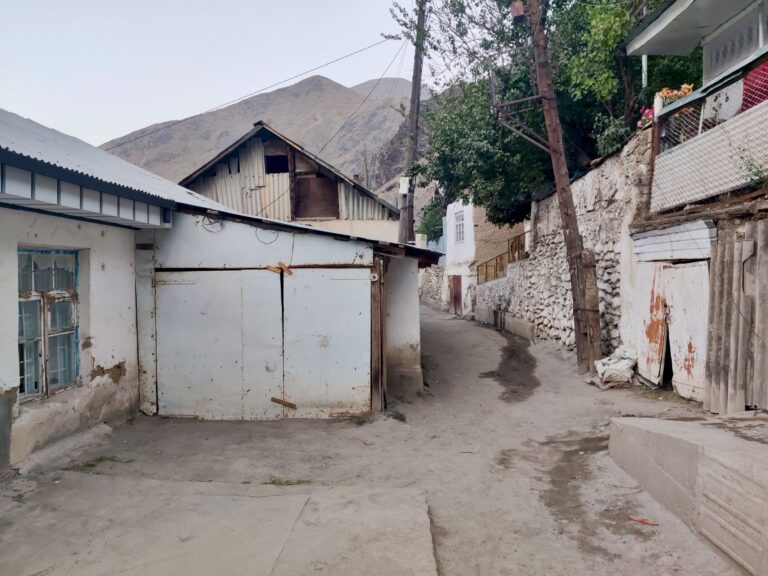 Despite the presence of tourism during the summer season, Kalai-Khumb seems like a place whose economy struggles most of the year. Sadly. People were nice round here. I got called 'beautiful' by a random kid, and the ladies in town were absolutely fascinated by my hair.