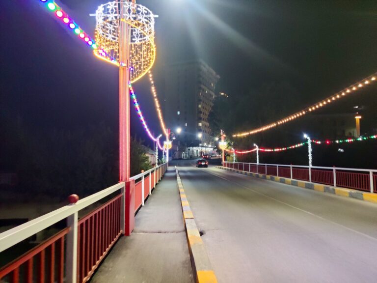 Had a better look at Khorog after dinner with another friend. Not much to write home about tbh. Pretty lights. Lots of people around on the main streets. Didn't feel like the most welcoming place, but didn't feel unsafe either.