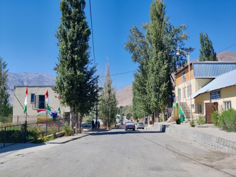 The town on the Tajik side of the border is Ishkoshim. We stopped here for 'lunch' (all that was available to me was tomatoes and onions...). It's a very typical Tajik town. Flags, trees, ancient cars...