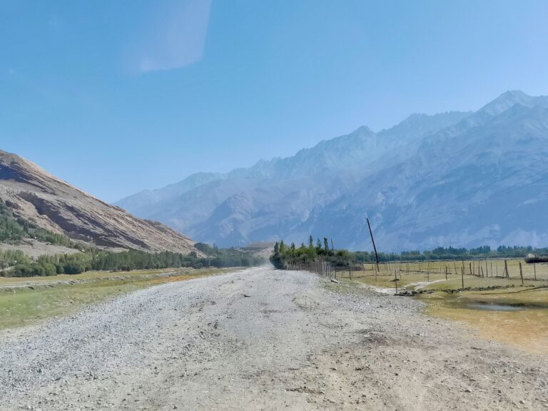 Think I must've been in the front seat of the car again, snapping mountain roads as I do.