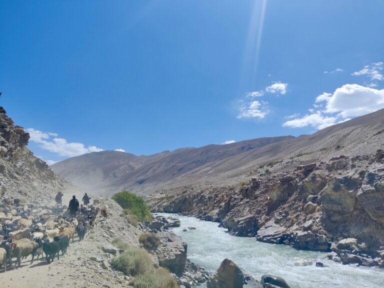 Amazing how common the sight of animal herders round this arid region is. They commonly blocked the 'highway' on this day. Also amazing is just how close Afghanistan is. Again. Wonder if the herders ever cross over to the other side?
