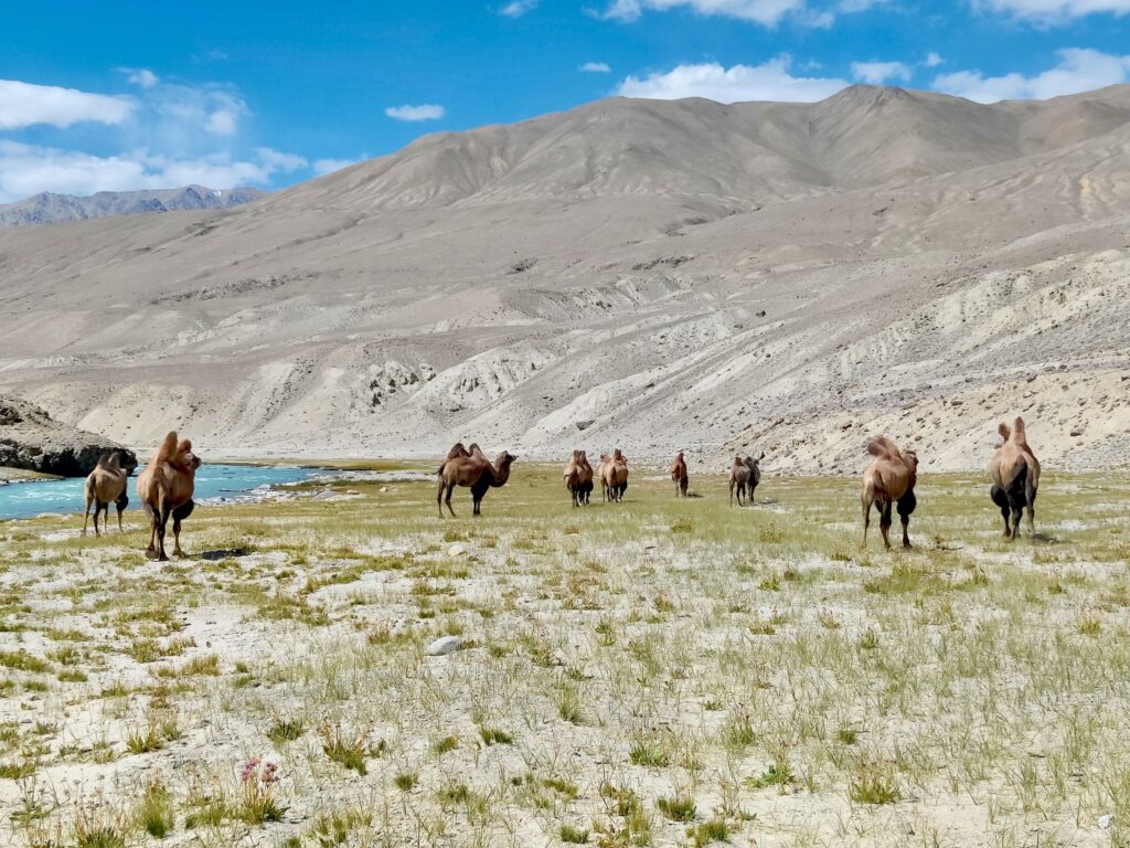 Wakhan Corridor