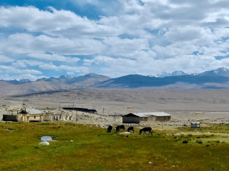 And also some donkey friends here. Probably the last patch of green we'd see for a while because...