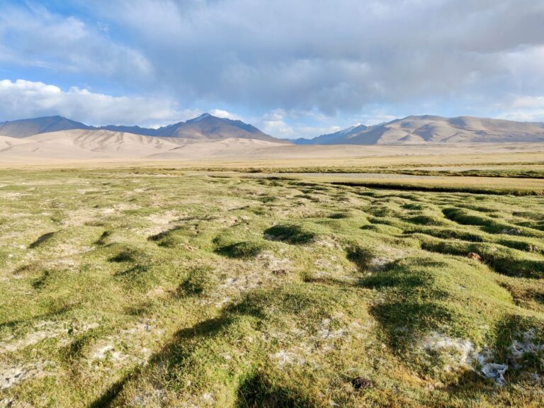 Same shot as earlier sans moi. A surprisingly beautiful landscape, despite the harshness of the surrounds.