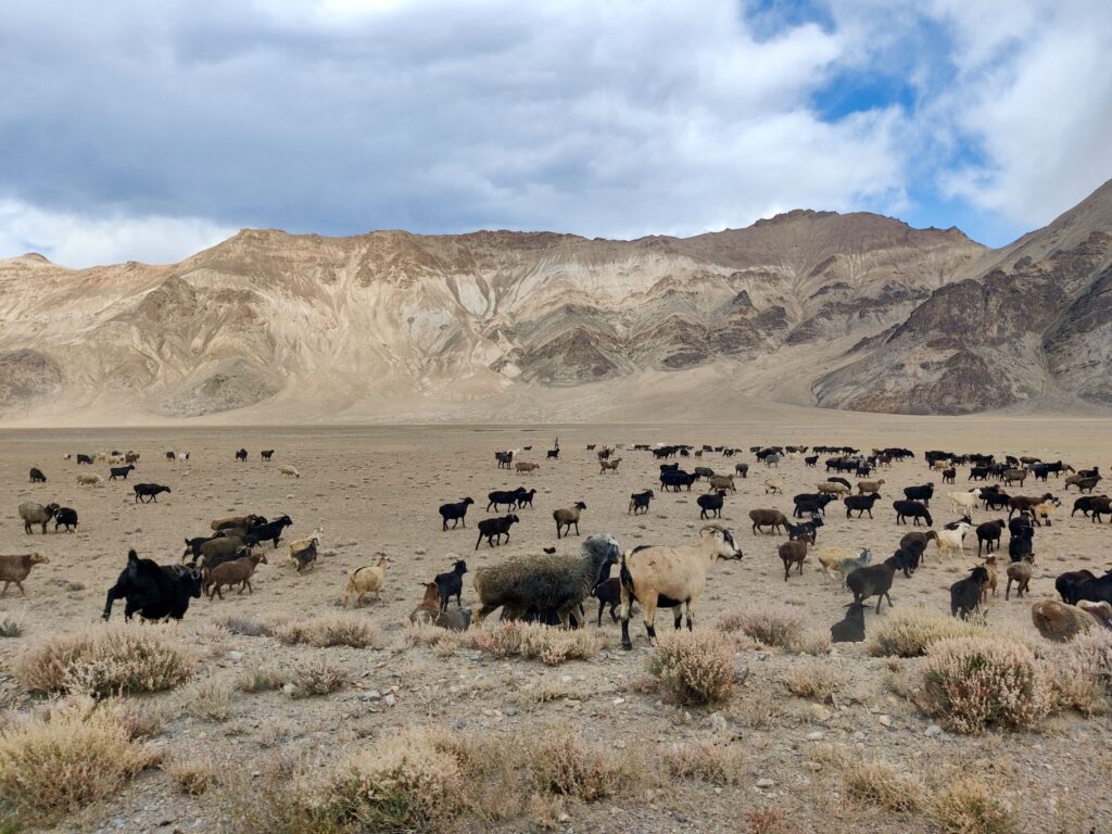 Pamir Highway