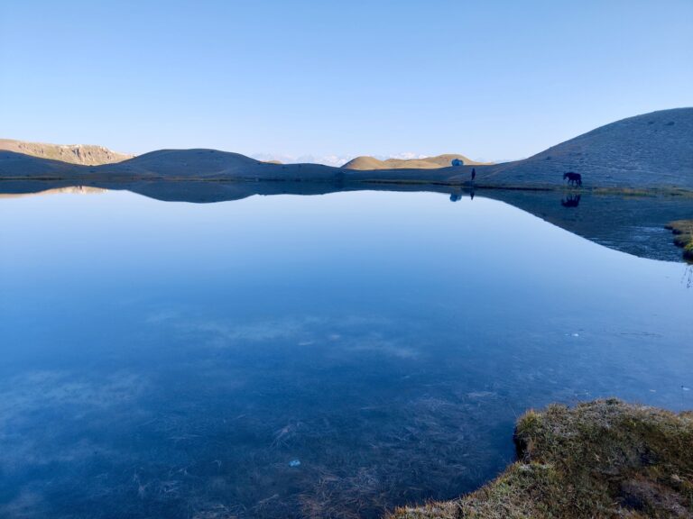 Here's the same lake after breakfast, with horses quenching their thirst in the background. :-)