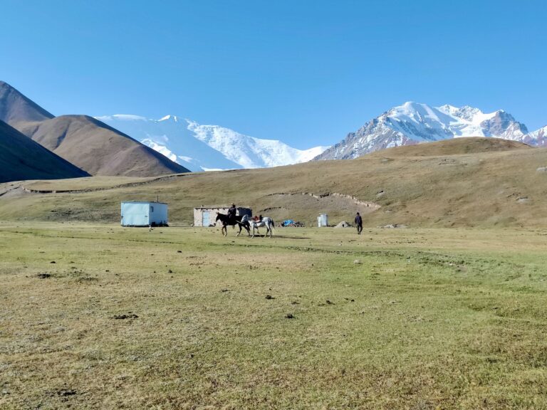 A very typically Kyrgyz/Central Asian scene here I think. 